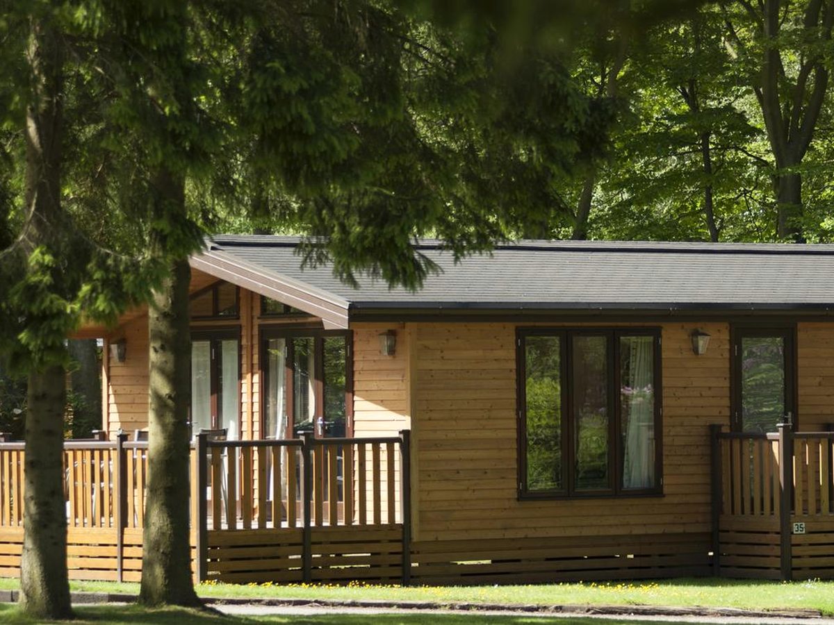 Timber lodges with railed verandas set back behind mature conifers and beech trees on mown grass.