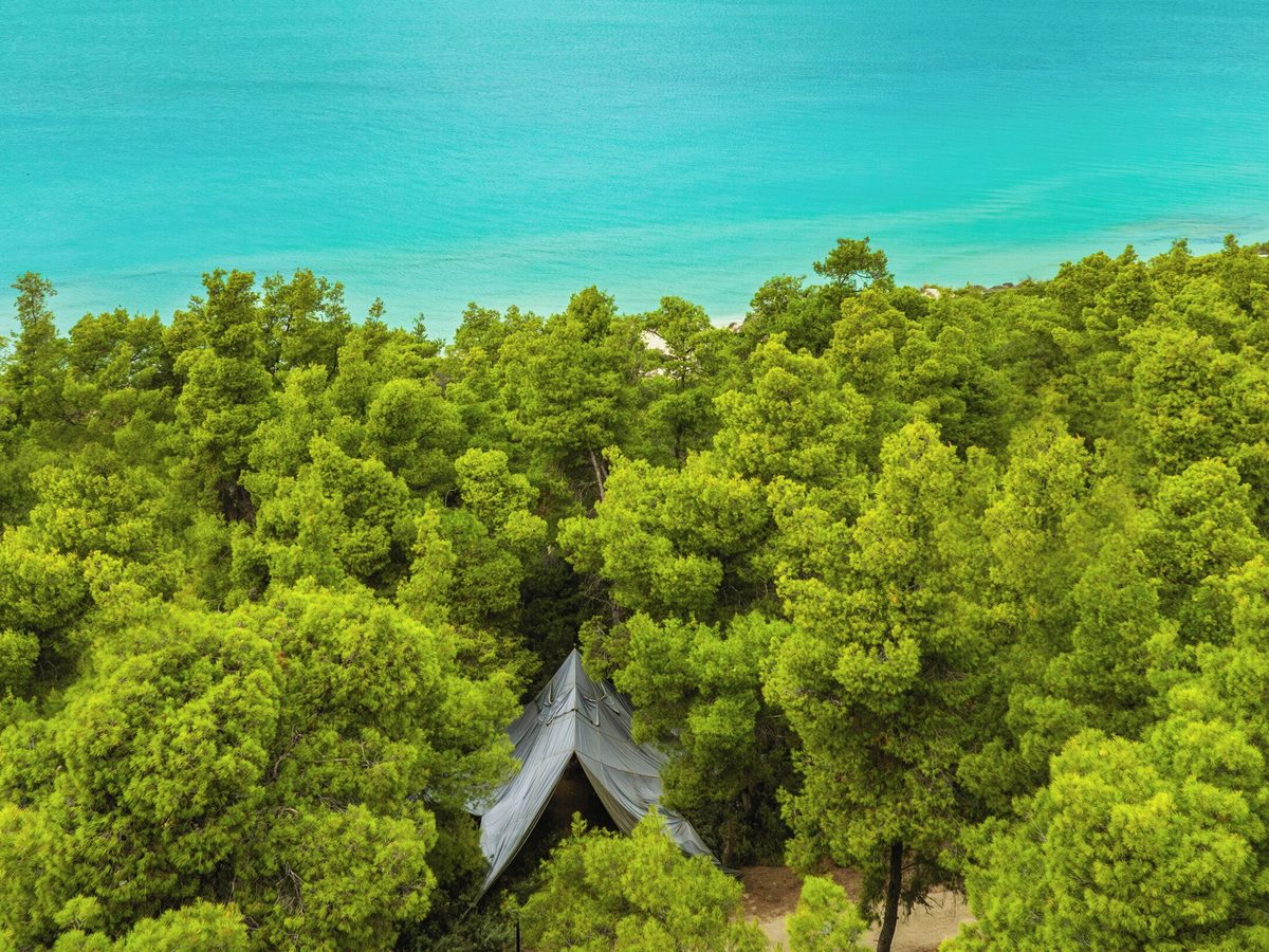 Aerial view of dense green pine woodland with a small clearing and a peaked canvas structure, meeting clear turquoise sea along a curved shoreline.