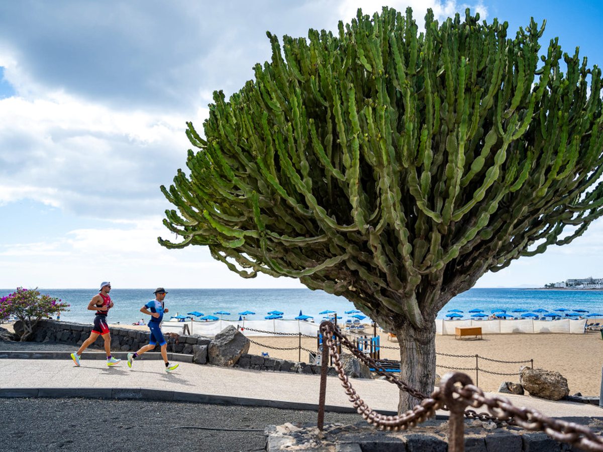 Seafront promenade with a large candelabra cactus beside it, two runners going past and blue parasols on the sand beyond.