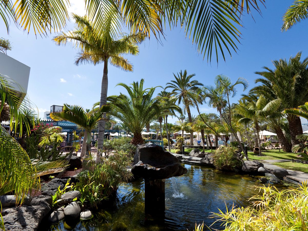 Garden of palms, flowering shrubs and volcanic rock around a still pond, with white hotel buildings behind.