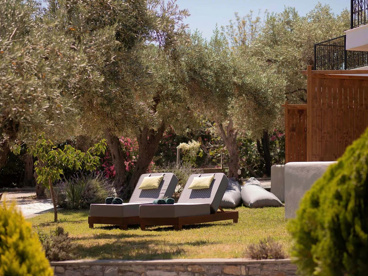 Two cushioned sun loungers and grey bean bags on a lawn beneath old olive trees, with flowering shrubs, lavender and a low stone wall in front.