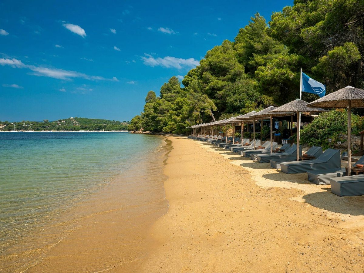 A curve of golden sand with pine trees growing down to it, a line of thatched parasols and sunbeds, a Blue Flag flying and clear shallow water alongside.