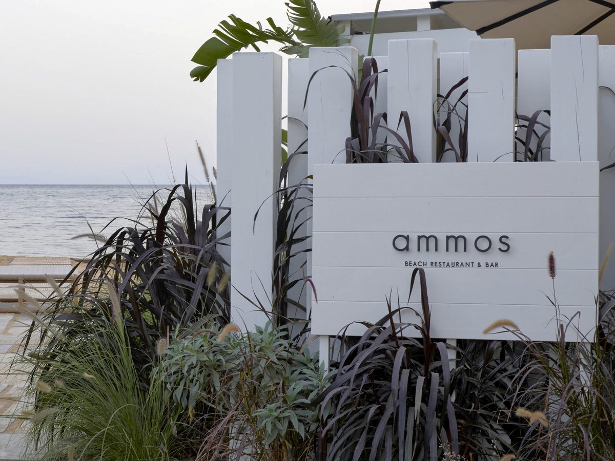 A white slatted timber screen carrying the Ammos beach restaurant and bar sign, framed by tall ornamental grasses, with the sea behind.