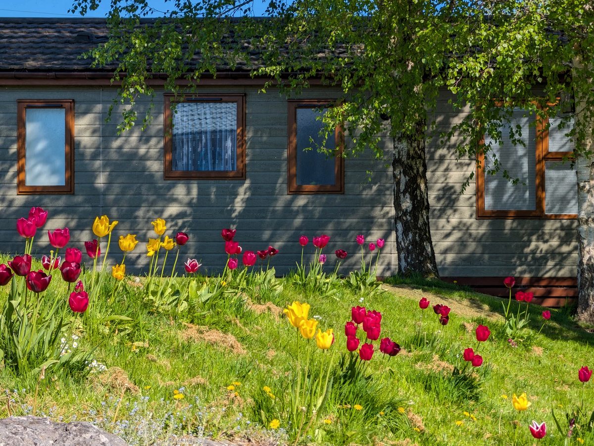 A grey timber holiday lodge behind a bed of red and yellow tulips, with mown lawn and trees around it.