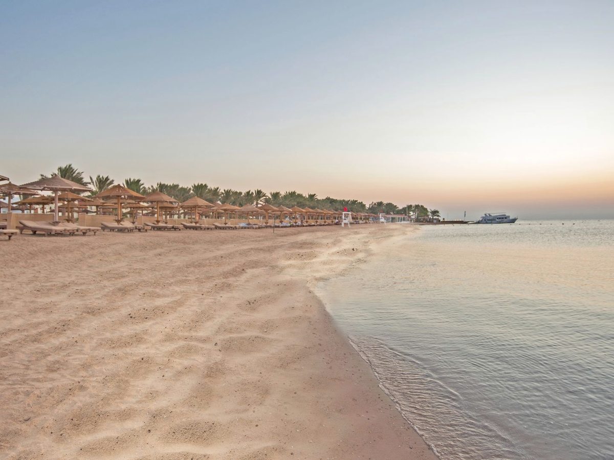 A wide stretch of pale sand running down to calm shallow water, with rows of thatched parasols and sun loungers set back under palms.