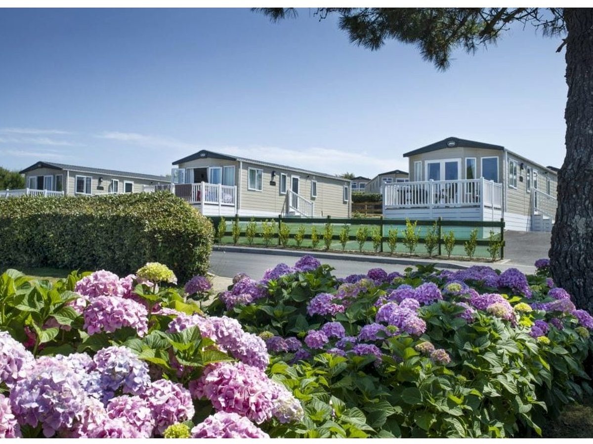 A row of cream static caravans with white decking behind a clipped hedge, with pink and purple hydrangeas in the foreground.