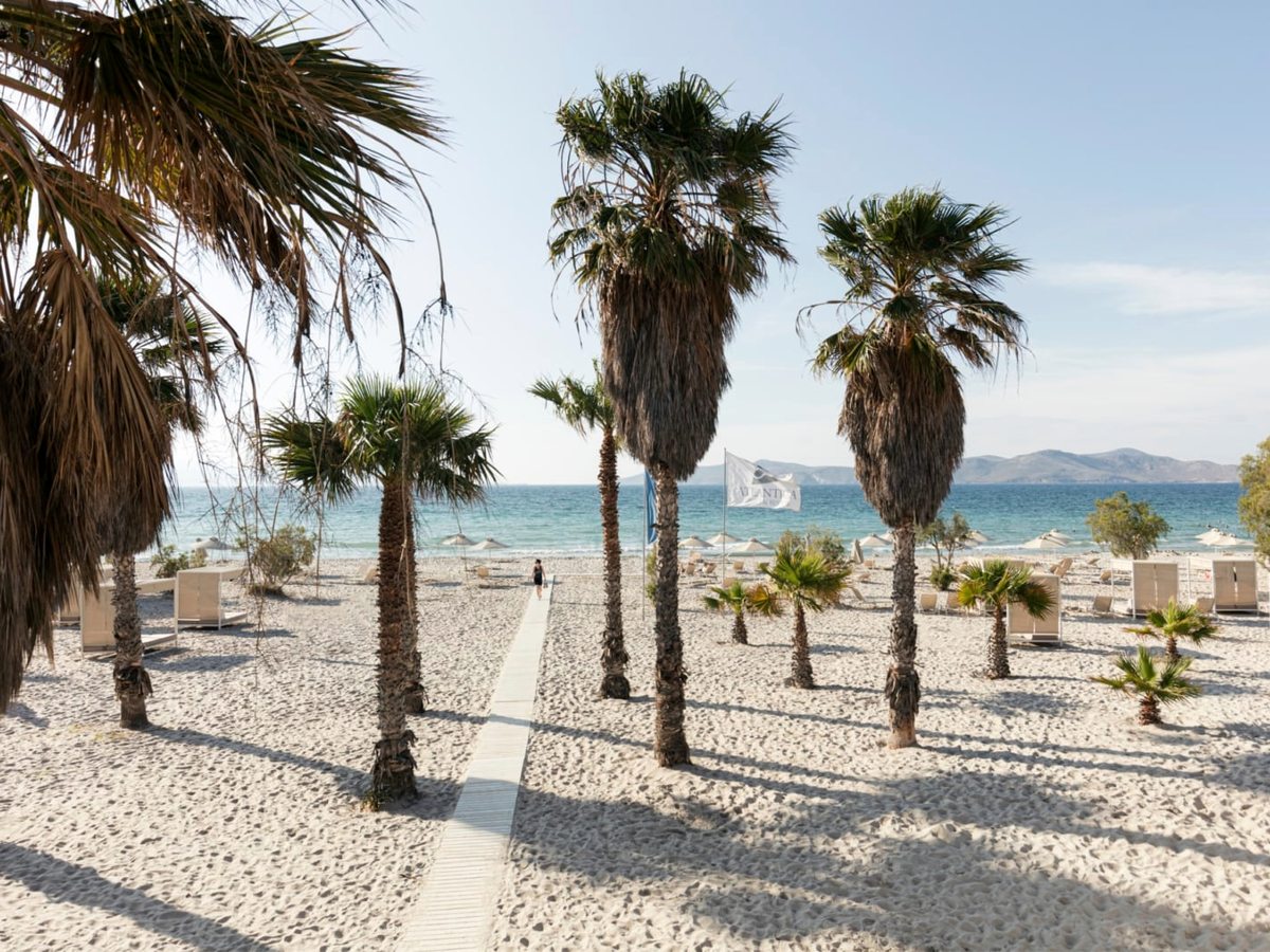 Wide sandy beach planted with palms, sun loungers and shade cabanas, with calm blue sea and hills across the water.