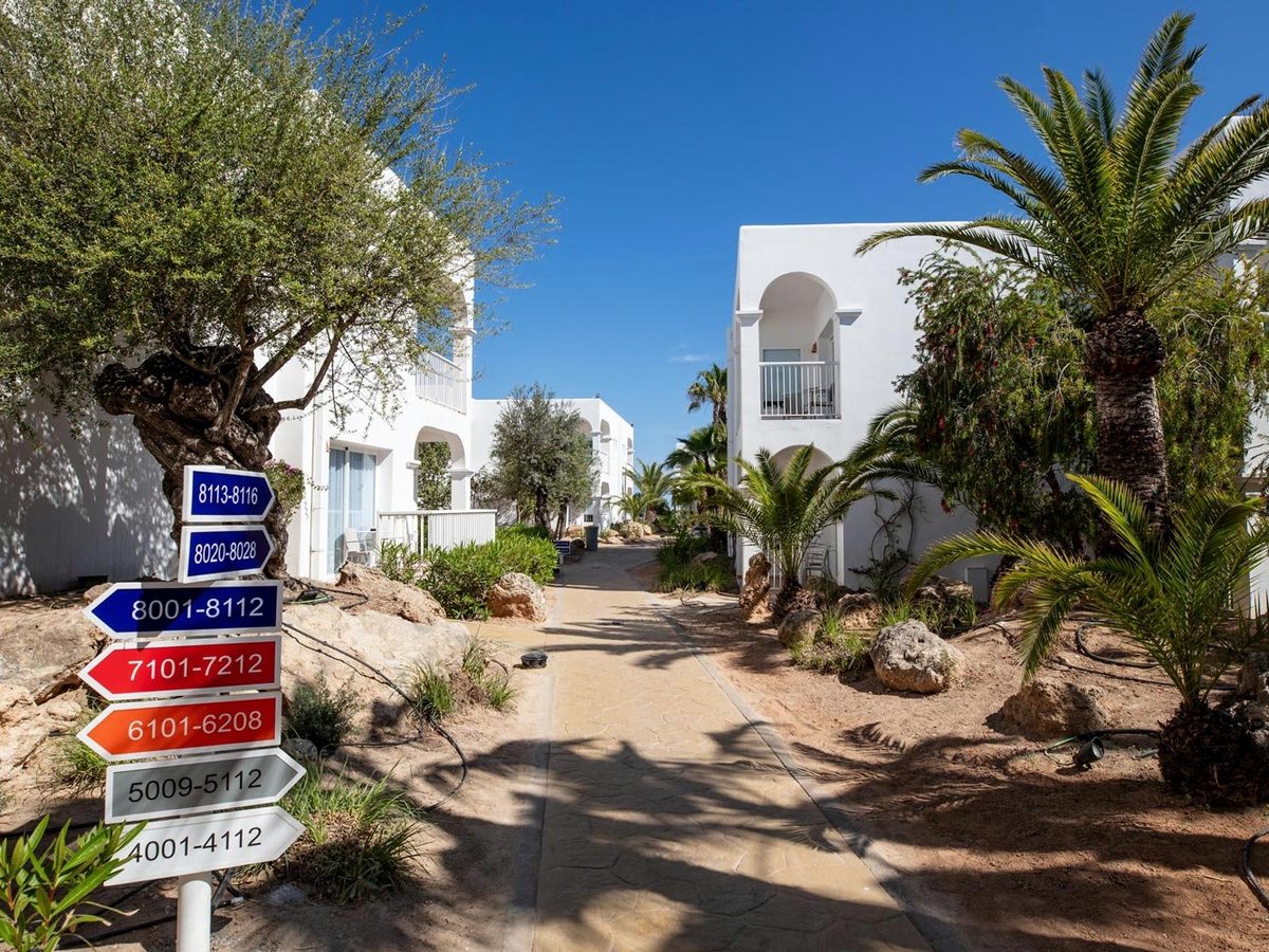 A paved path winding between white accommodation blocks under palms and an olive tree, with signposts giving room-number directions.
