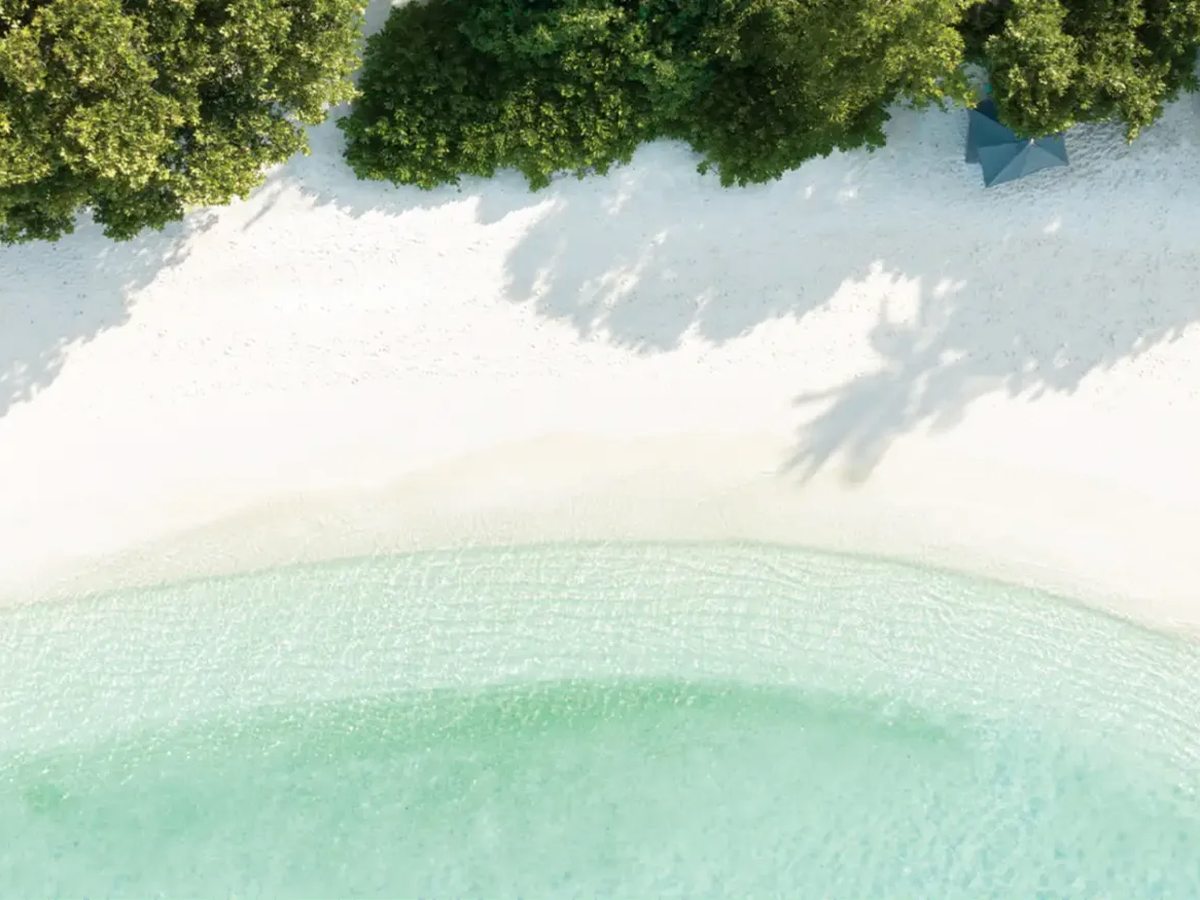 Overhead view of white sand edged by trees and their shadows, meeting pale green shallow water.