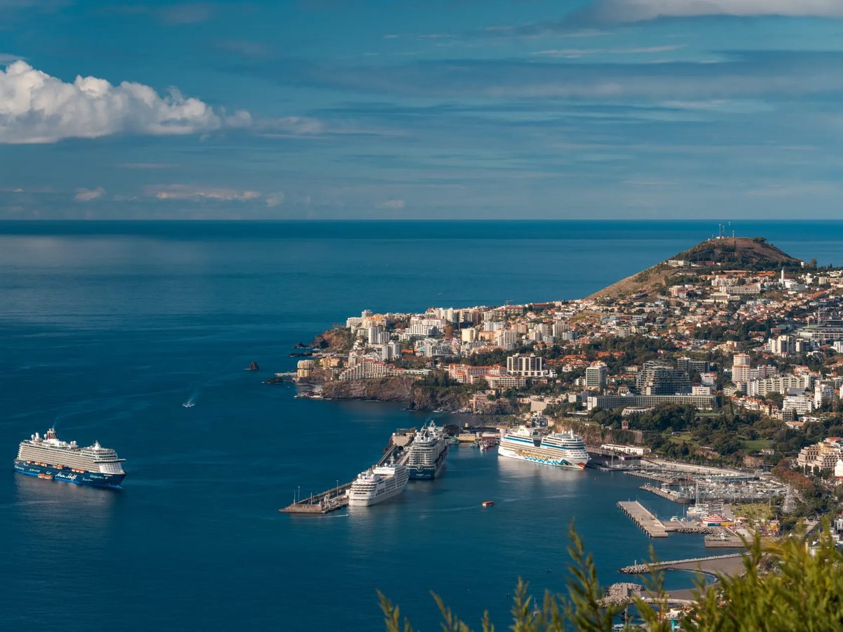 Funchal's bay from above, with cruise ships at the quay, a marina and the white city rising up the hillside.