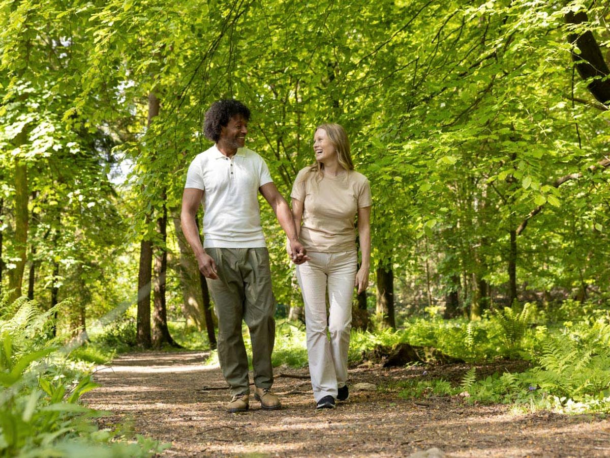 Two adults walking a broad gravel path through summer woodland, ferns and green undergrowth on both sides and sunlight coming through the leaves.