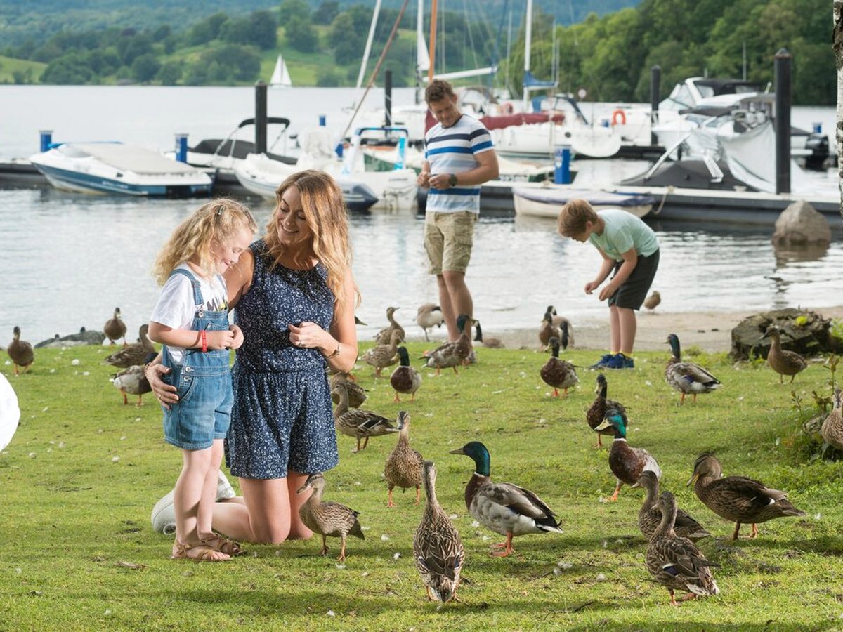 A woman kneeling on the lakeside grass with a young girl beside her, ducks and geese gathered on the turf around them, and a man and a boy feeding the birds further back beside the moored boats at the marina.