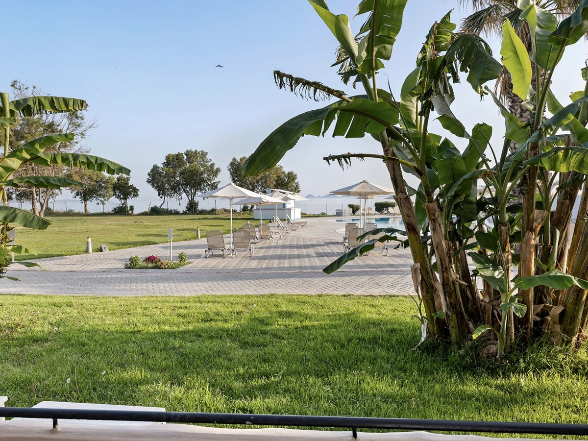 Wide lawn with banana plants and olive trees leading to a paved terrace with sun loungers and white parasols, and the sea and distant hills beyond.