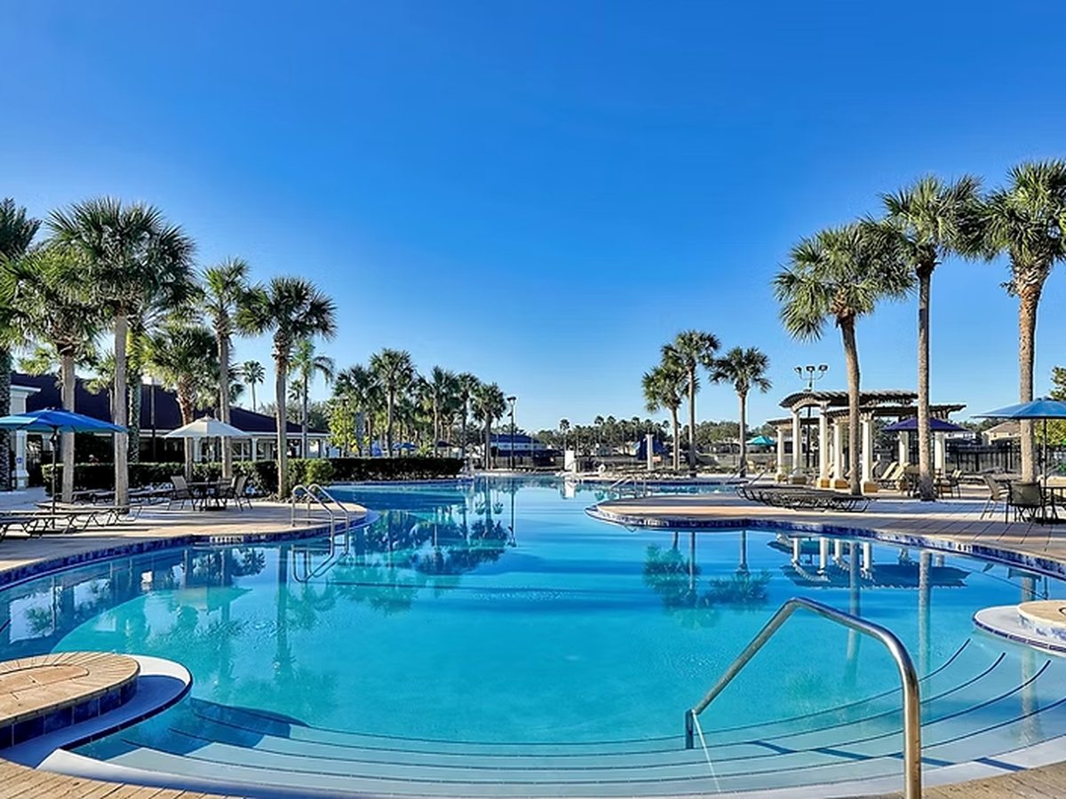 A curved blue swimming pool with wide submerged entry steps, metal handrails, sun loungers and palm trees.