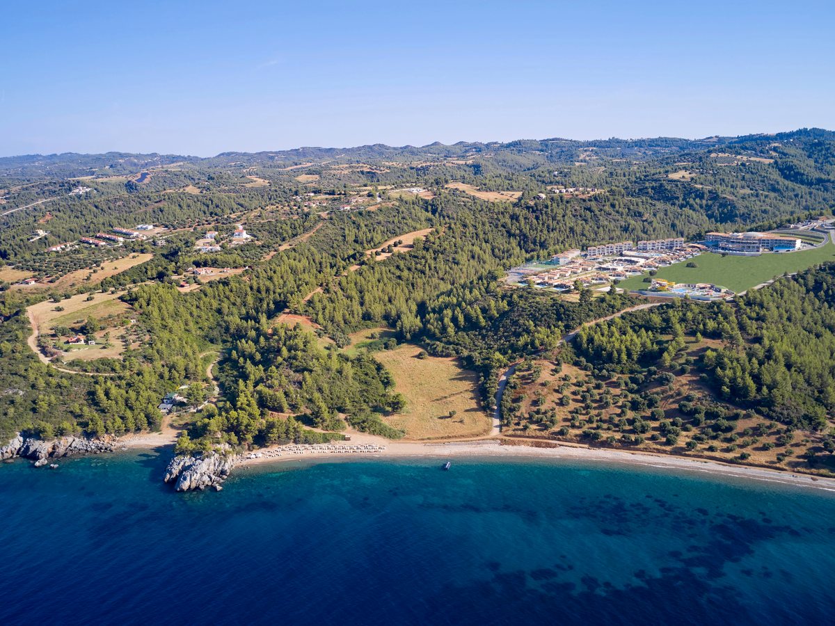 An aerial view of pine-covered hills running down to a curving shoreline, with the resort's pale buildings, pools and courts on the headland to the right.