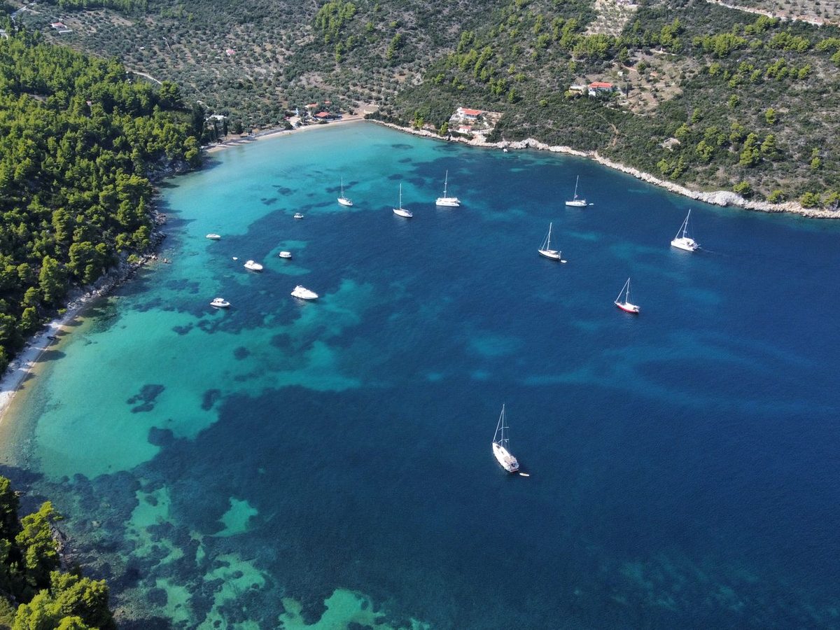 Yachts in a sheltered, pine-ringed bay